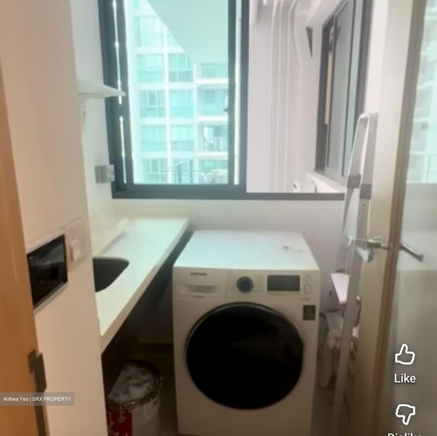 Esparina Residences (D19), Condominium #591283531